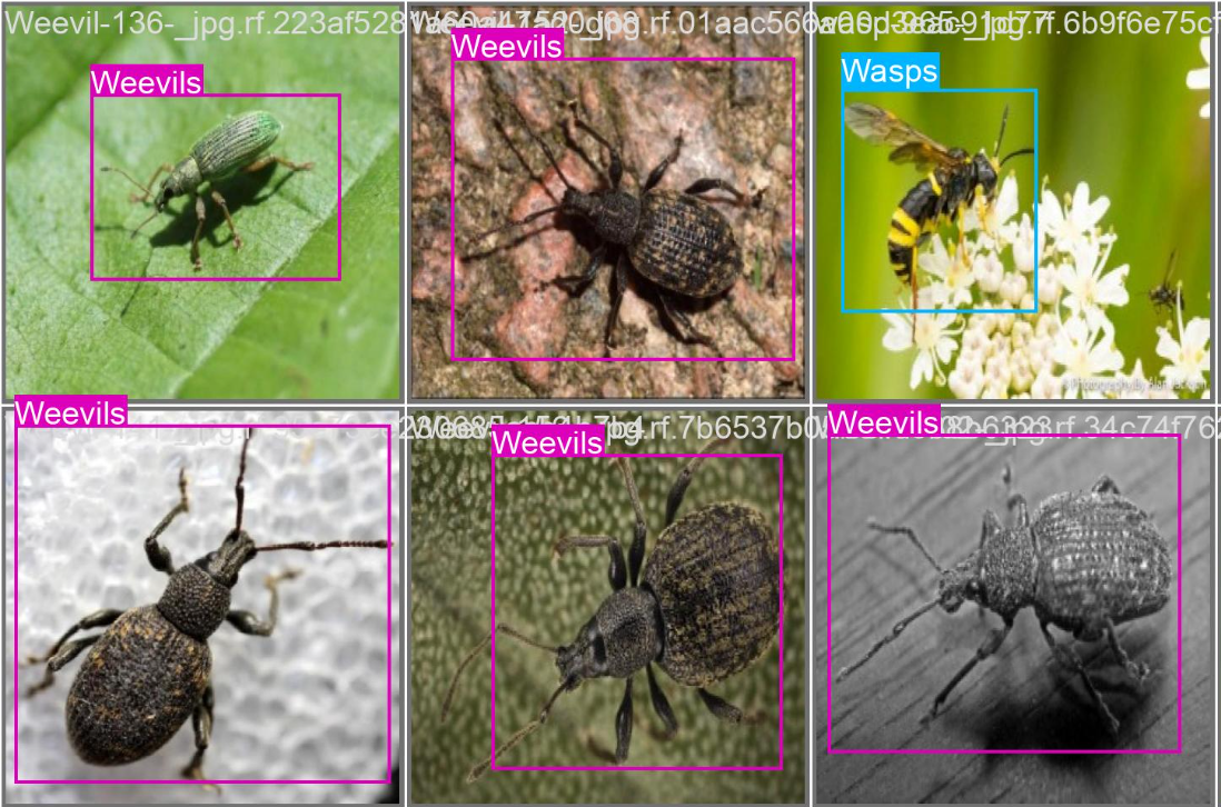 UAV Pest Surveillance